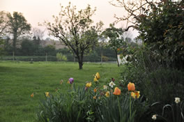 Cottages in the heart of a nature vendean domaine of 6 acres.