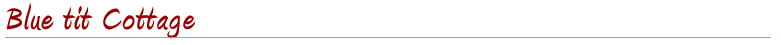 Blue tit cottage